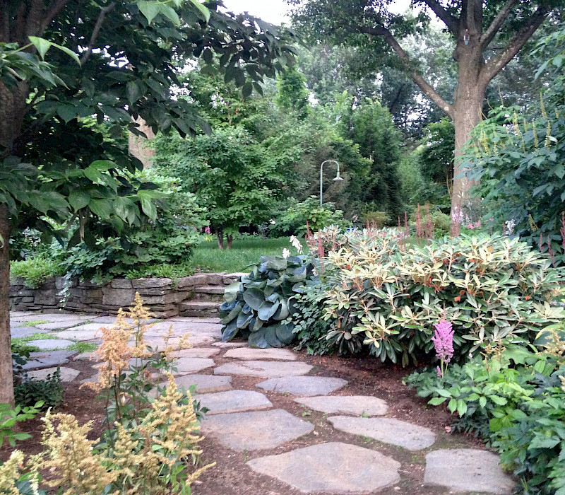 Woodland Garden