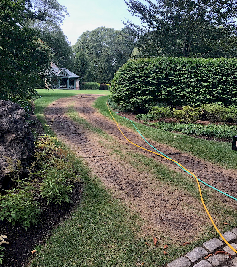 Sod/Turf Reinforcment Installation
