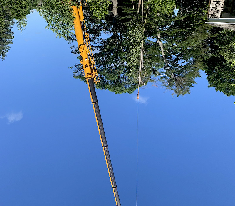Specimen Tree Crane Installation